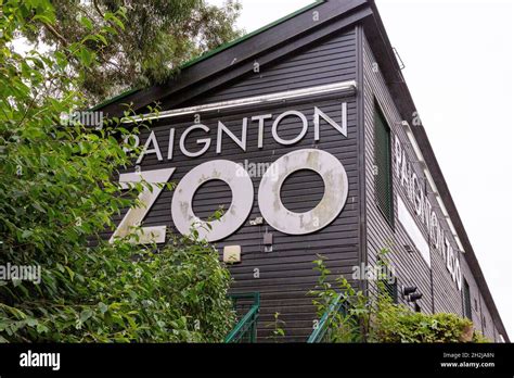 payton zoo|paignton zoo devon.